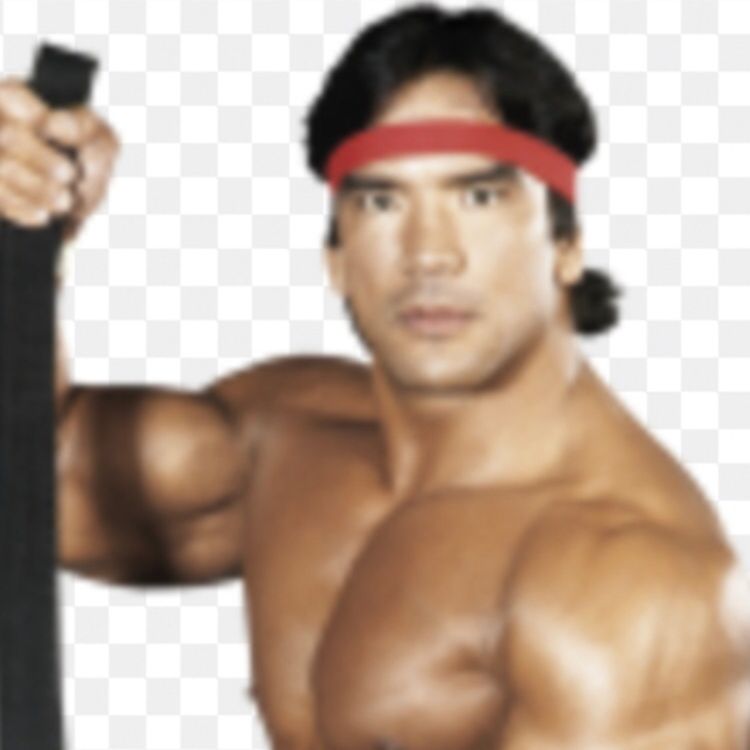 cover art for (13) Ricky Steamboat
