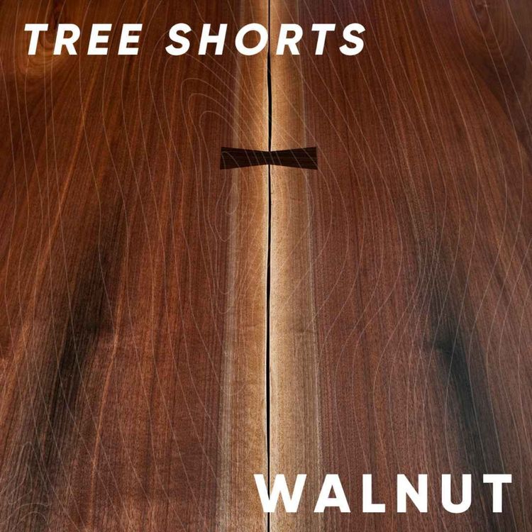 cover art for Tree shorts: walnut