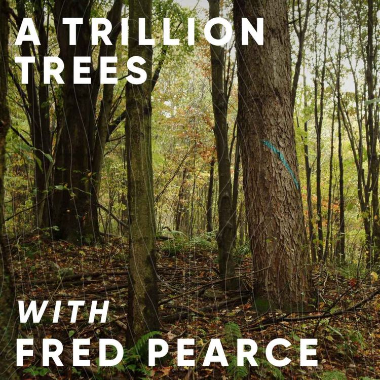 cover art for Special episode: A Trillion Trees with Fred Pearce