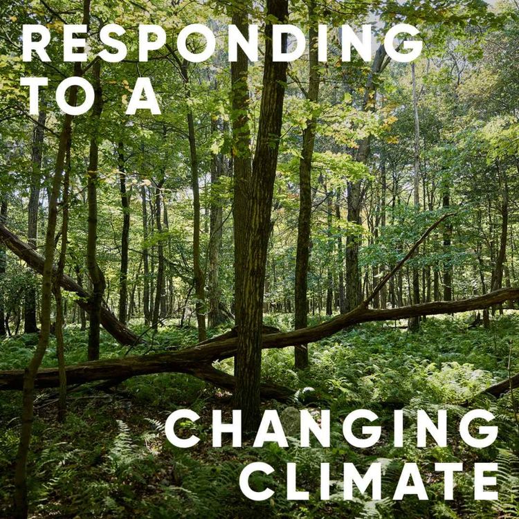 cover art for S4E5: Responding to a changing climate