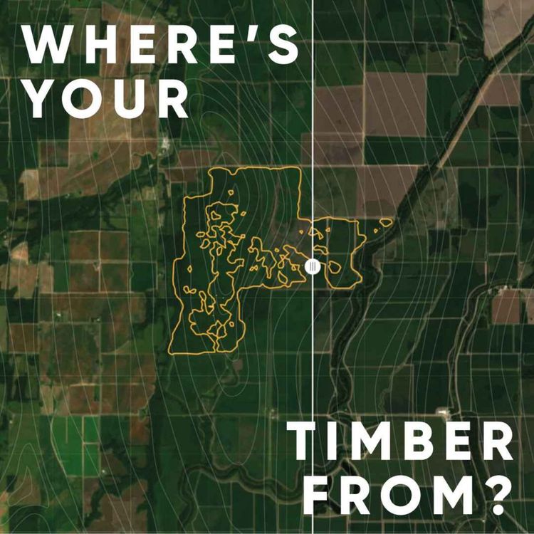 cover art for S5E3: Where's your timber from? with Seetal Solanki, Jade Saunders, Ben Gunneberg and Tim Brownlee