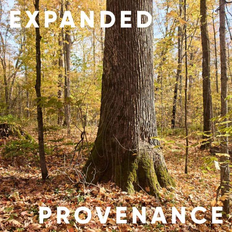 cover art for S5E4: Expanded Provenance featuring Seetal Solanki, Viktoria Millentrup and Rupert Oliver