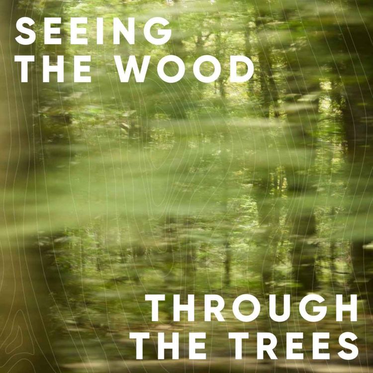 cover art for S5E5: Seeing the wood through the trees with Anna Bates, Anab Jain and Samy Rio