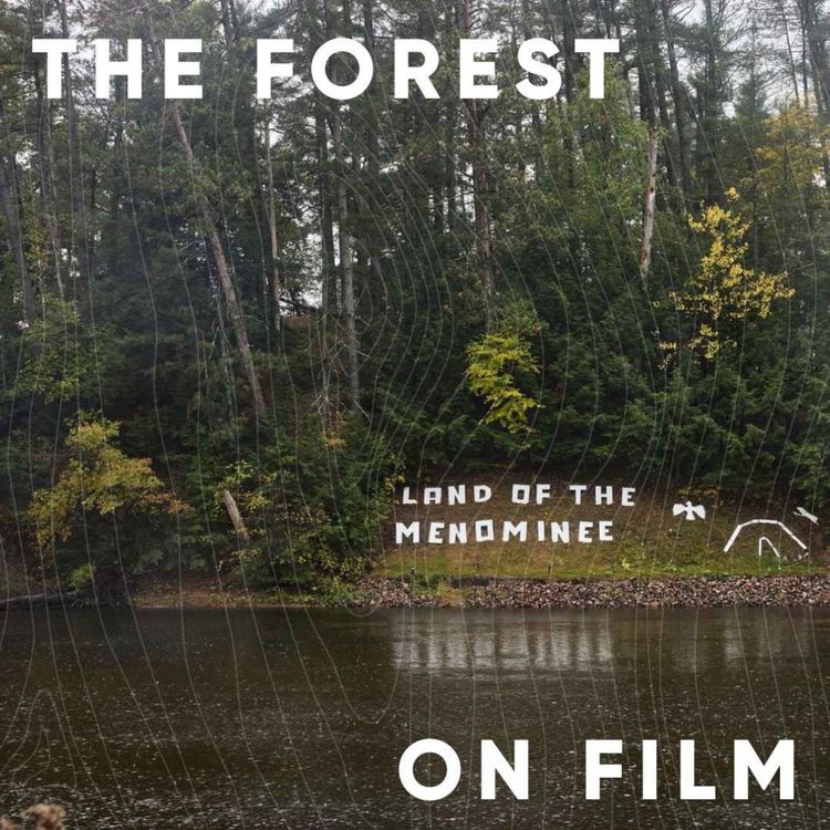 cover art for S5E6: The Forest on Film with Alison Brooks, Petr Krejčí, Fred Pearce, Van Wagner and Joey Awonohopay 
