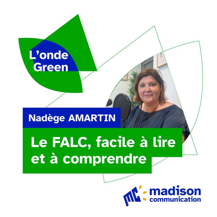 cover art for Le FALC, facile à lire et à comprendre · Nadège Amartin