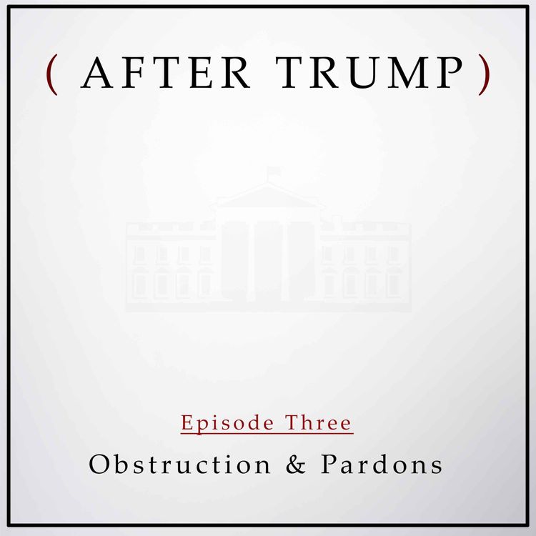 cover art for Episode 3: Obstruction & Pardons