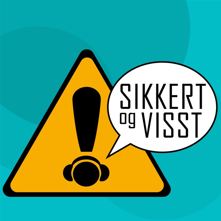 cover art for Ulykker i systemer som er så sårbare at liten tue kan velte stort lass