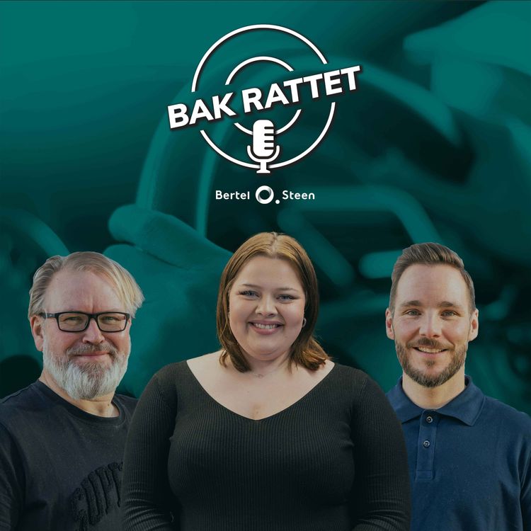 cover art for Bak rattet med Anine Olsen