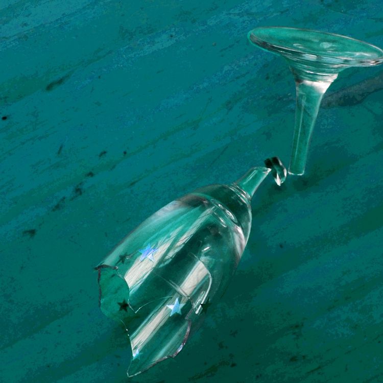 cover art for Introducing Not at the Dinner Table