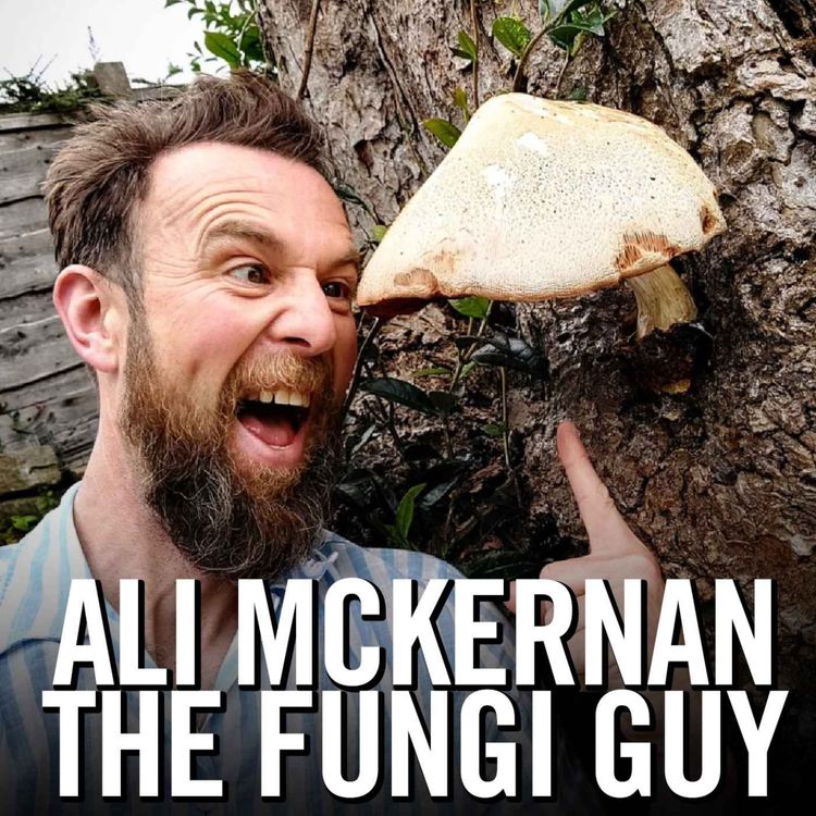 cover art for Exploring the Magic of Mushrooms with The FUNgi Guy Ali McKernan