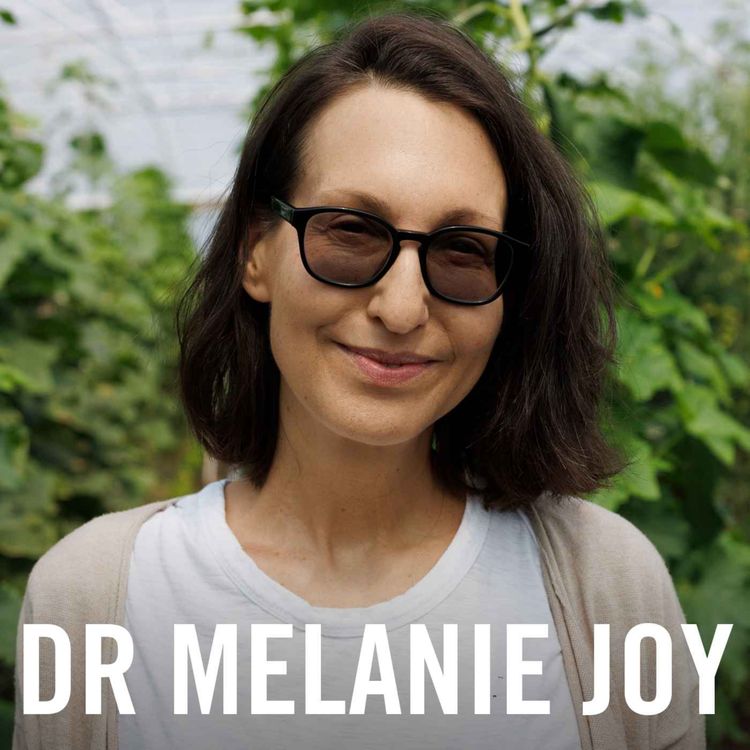 cover art for Dr. Melanie Joy on Compassionate Communication and Building Better Relationships