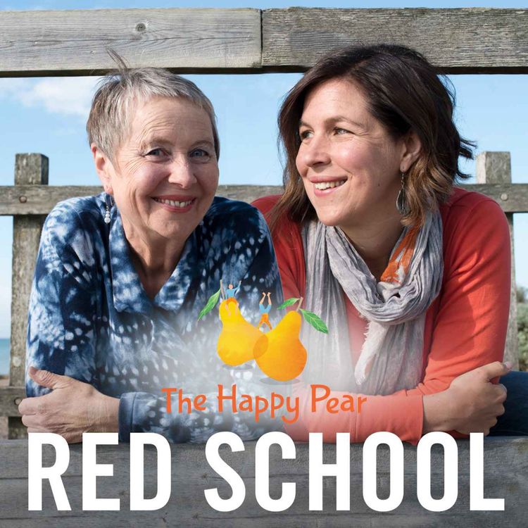 cover art for From Menstrual Cycle Awareness to Menopause Power: Insights from The Red School Founders