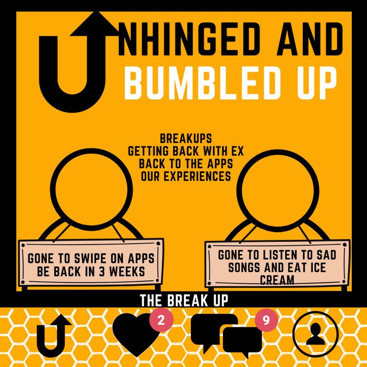 cover art for The Break up 