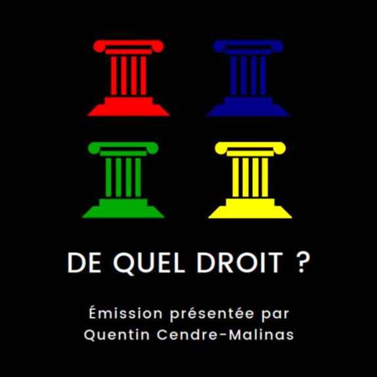 cover art for De quel droit 4 - "La loi"