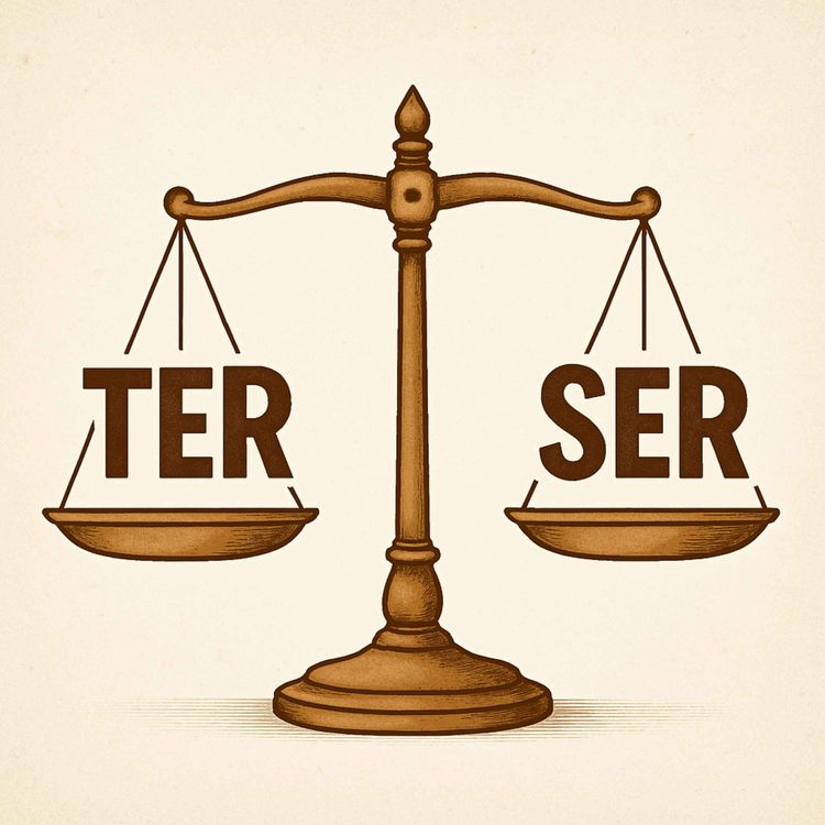 cover art for #348 - Os verbos TER e SER. Uma conversa sobre consumo, identidade, felicidade e o vazio mesmo depois de conquistar tudo.