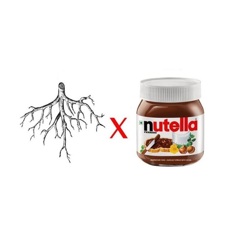 cover art for #44 - Raiz x Nutella (Um dos memes/expressão mais usado no Brasil) Parte 2