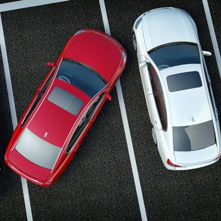 cover art for #33 Top 5 expressões ( aleatórias )