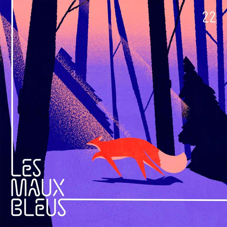 cover art for Chasser le spleen — Cyclothymie, addictions