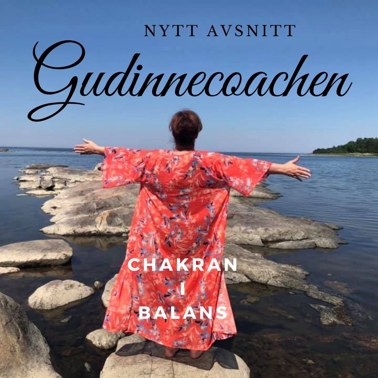 cover art for Chakran i balans