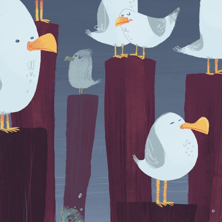 cover art for Éradiqueur de mouettes - Penmarc'h (Finistère)