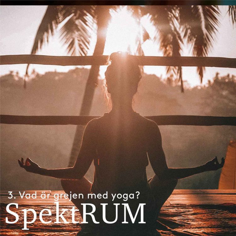 cover art for Vad är grejen med Yoga? 