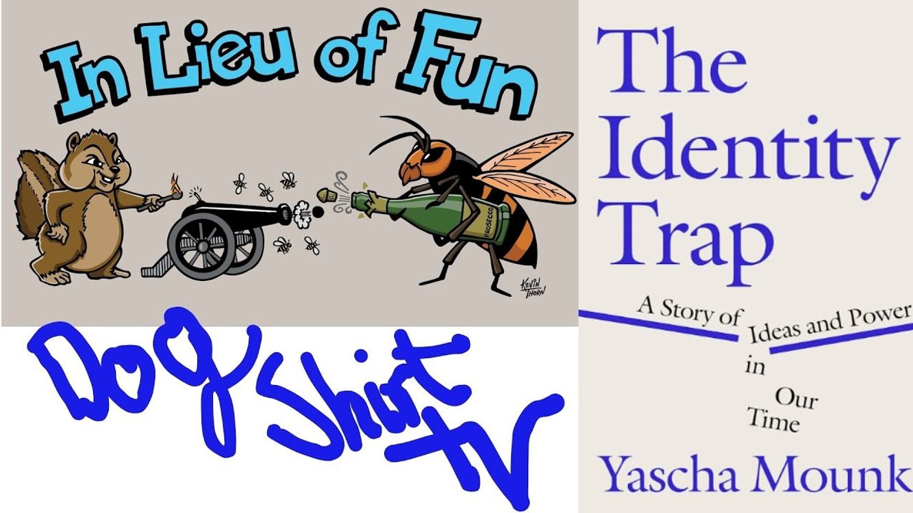 cover art for #DogShirtTV: Yascha Mounk on "The Identity Trap"