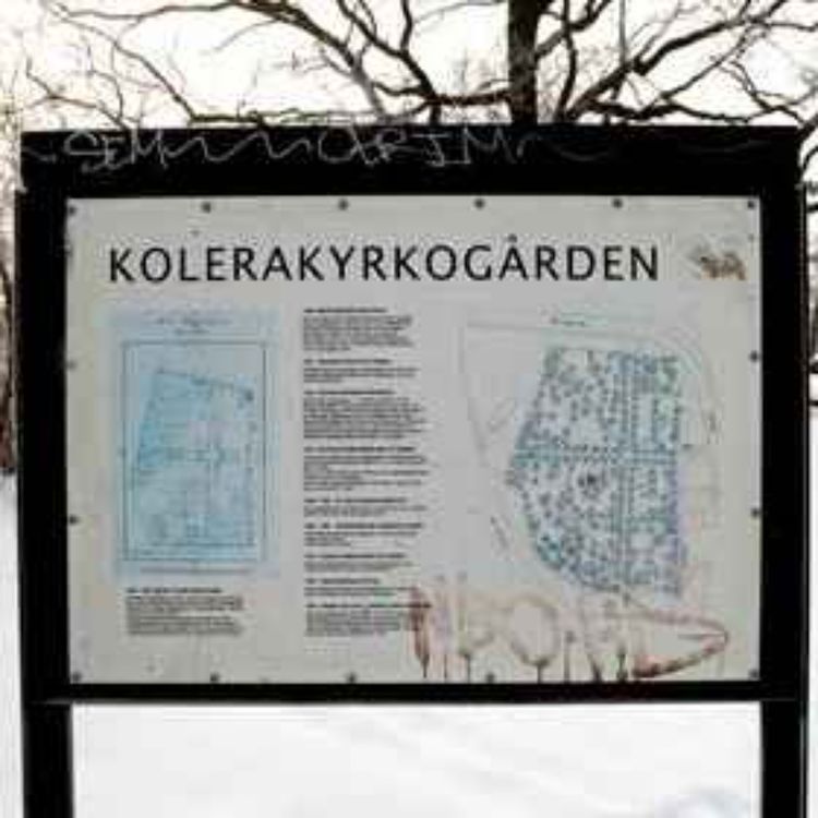 cover art for #46 Koleraepidemin i Sverige 1834 - med Daniel Larsson