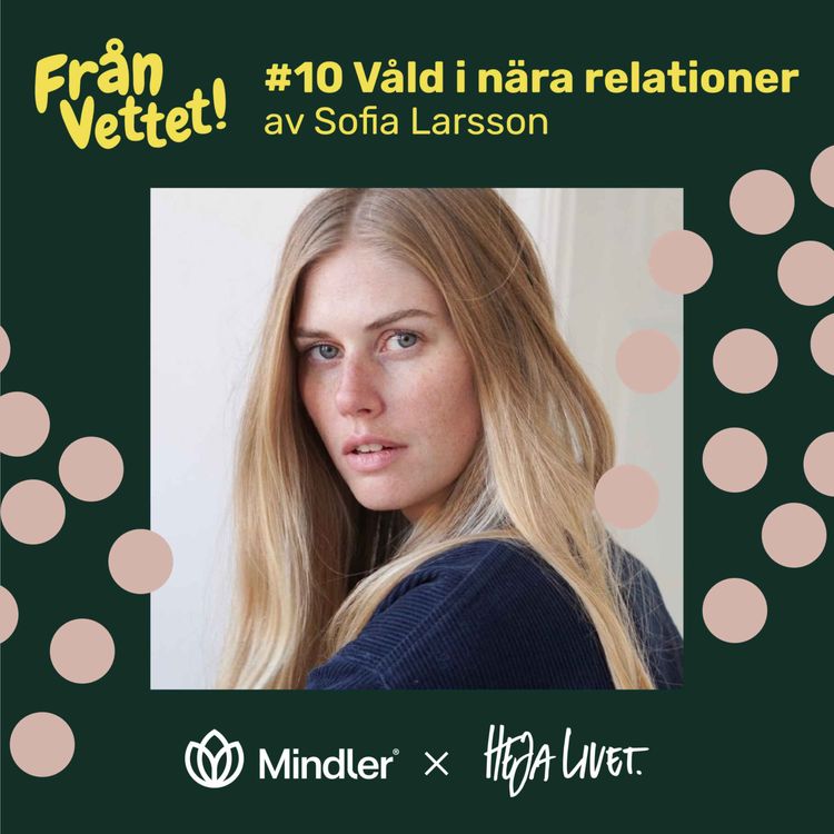 cover art for Våld i nära relationer