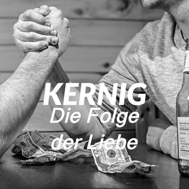cover art for #11 Die Folge der Liebe