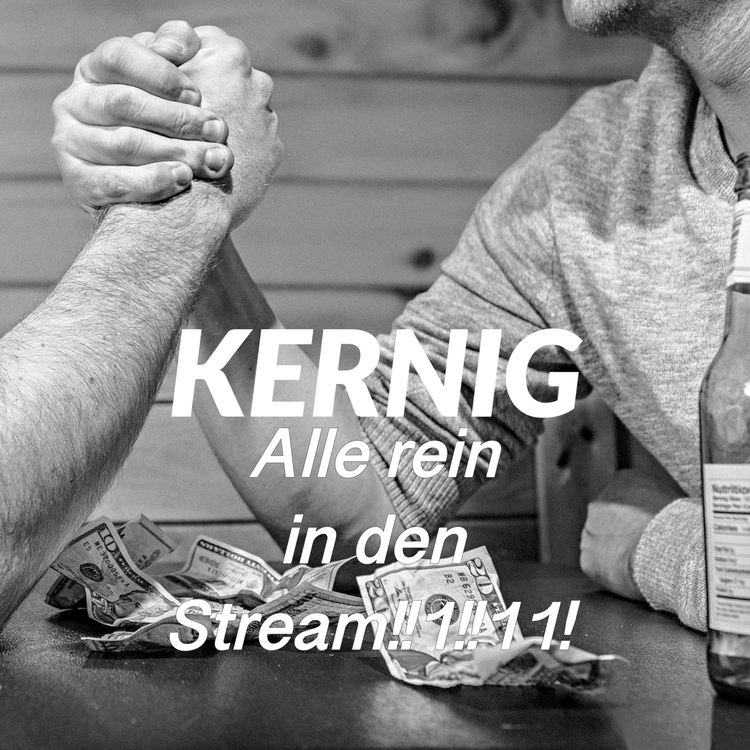 cover art for #10 Alle rein in den Stream!!1!!11!