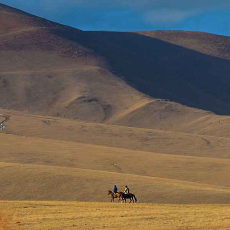 cover art for Indoeuropeiska: Språkgåtan som blev tabu