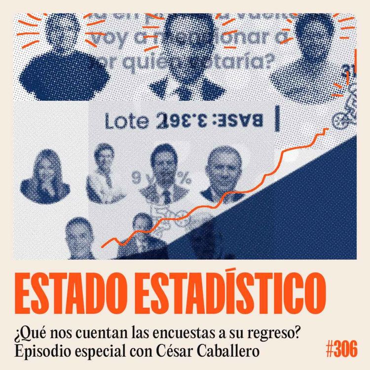 cover art for Una encuesta en soledad