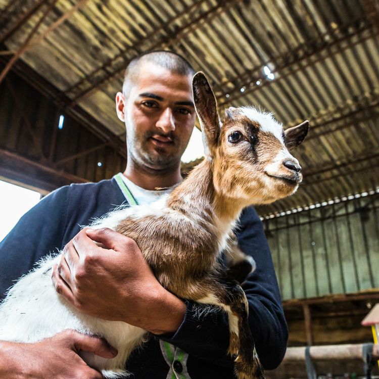 cover art for En Belgique des fermes accueillent des personnes en difficultés