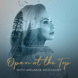 cover art for Open At the Top