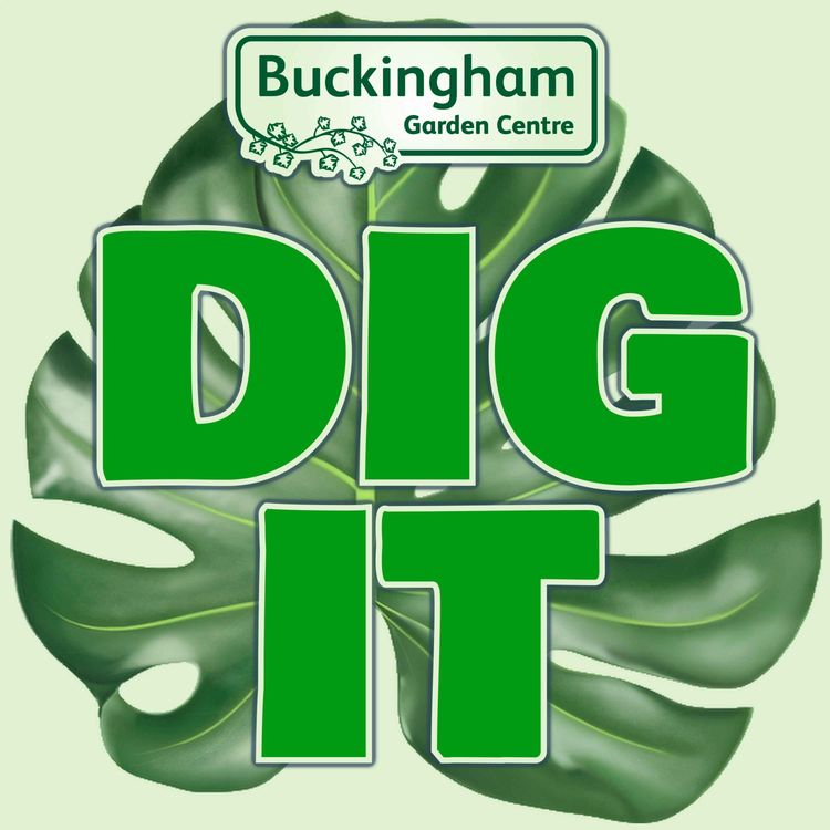 cover art for Houseplants with Jane Perrone