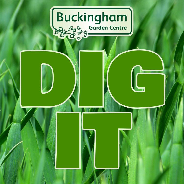 cover art for Swards of Grass