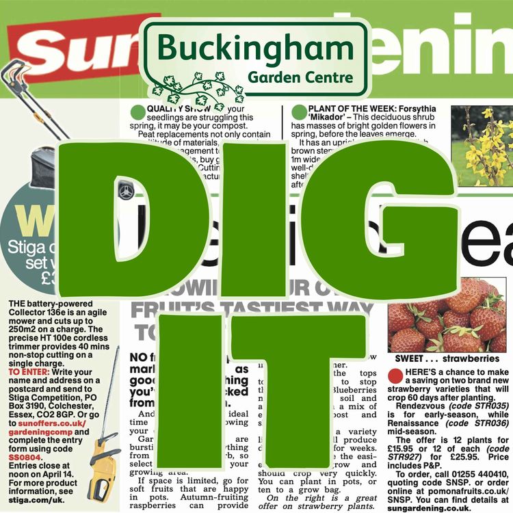 cover art for Steve Bradley, The Sun's Gardening Correspondent