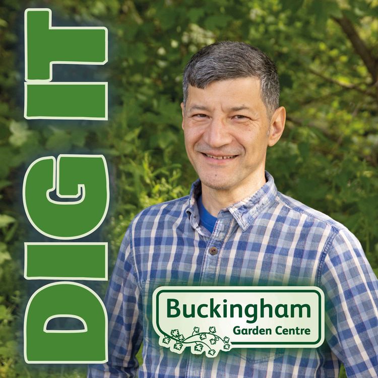 cover art for Creating a Terrific Terrarium with Dr Manos Kanellos