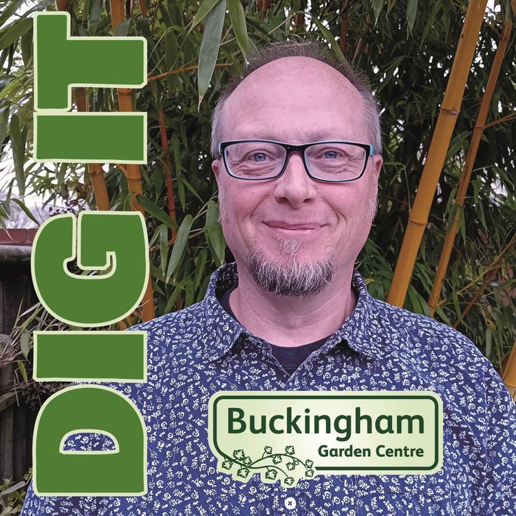 cover art for For the love of Chillies, with Jason Breed