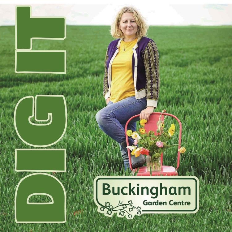 cover art for Jessica Naish, Buckingham's best flower farmer