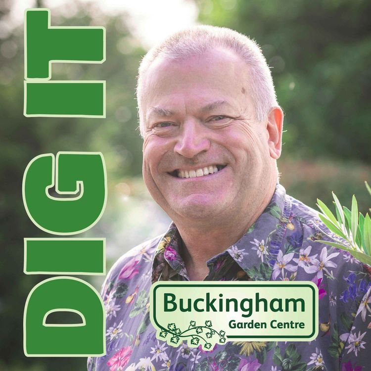 cover art for Matthew Biggs, The Peoples Gardener