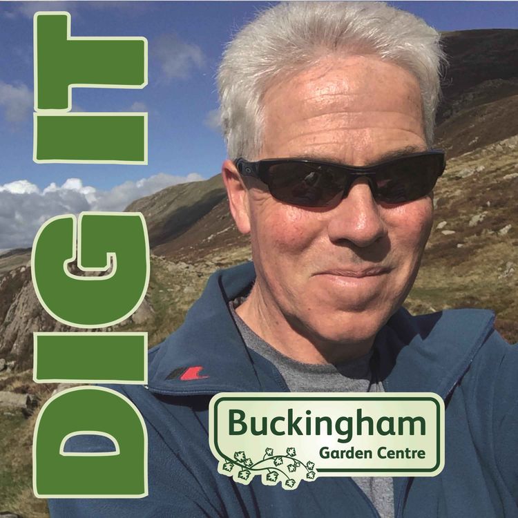 cover art for The benefits of fertlizer with David Gale