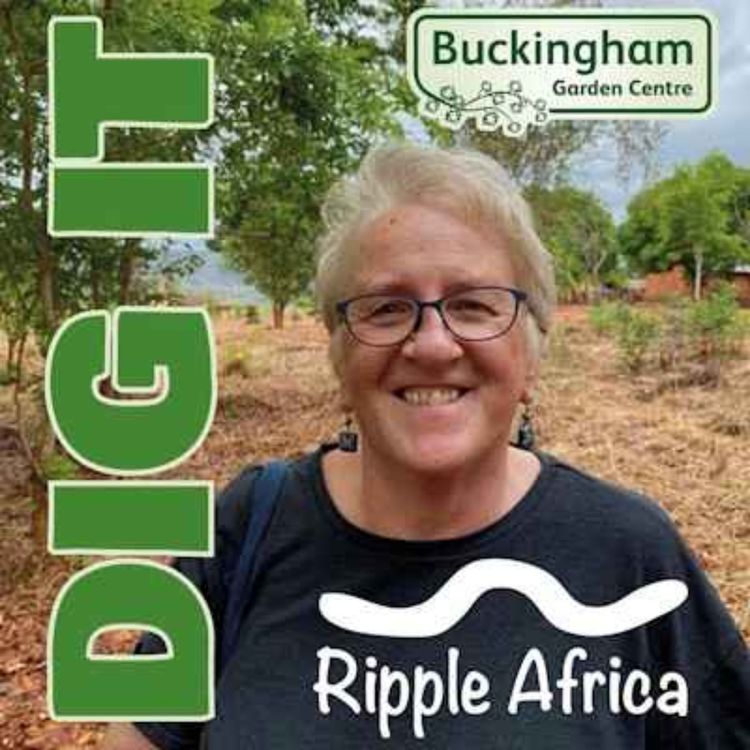 cover art for Ripple Africa with Pam Haig