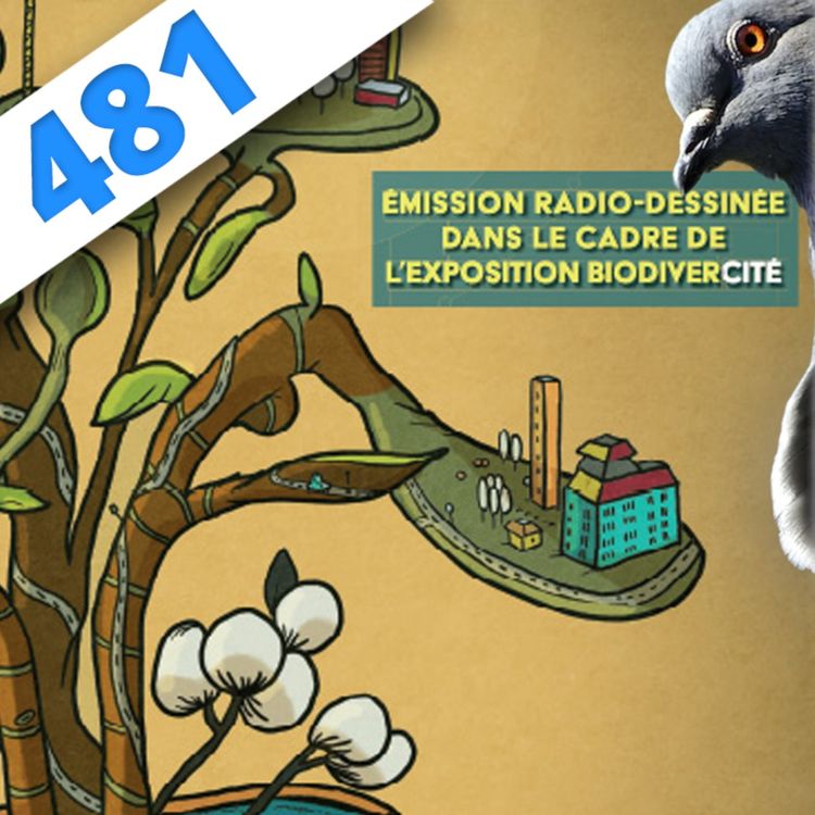 cover art for 481 - Sous les pavés, la Jungle !