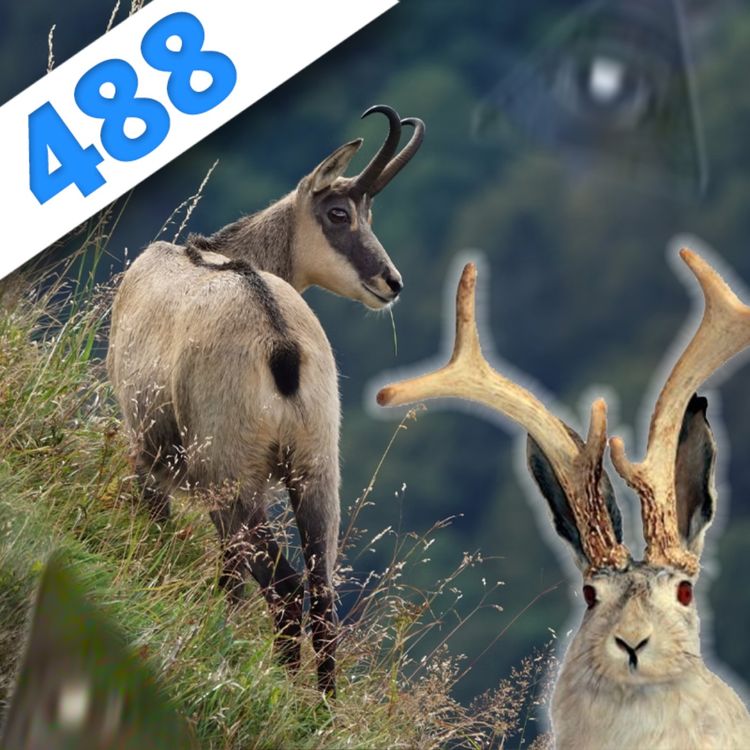 cover art for 488 - Canulars