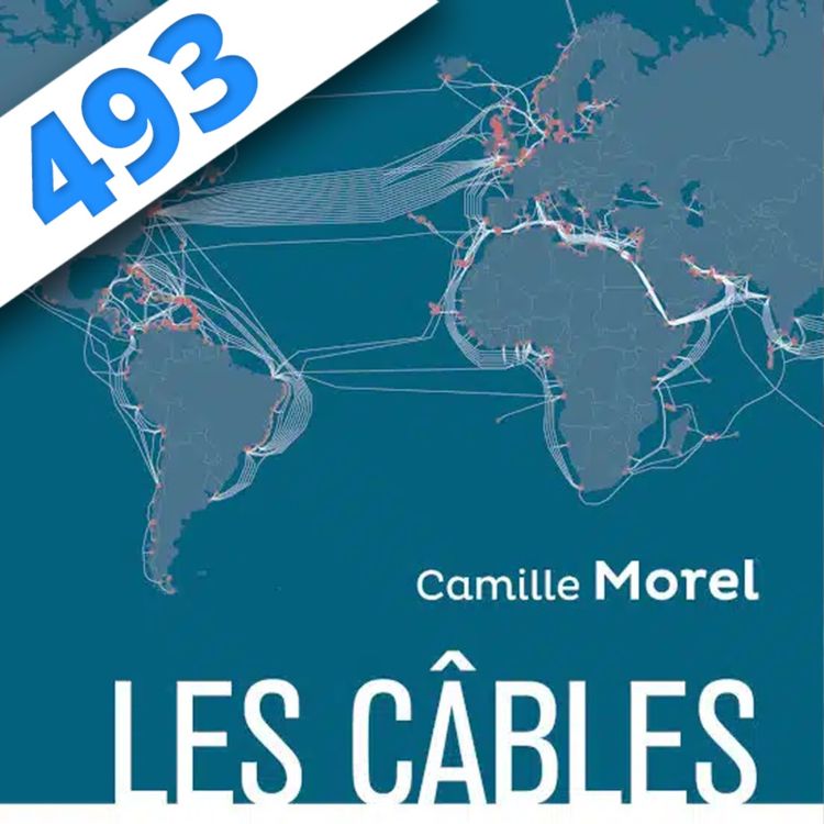 cover art for 493 - Internet pète un câble, partie 2 avec Camille Morel