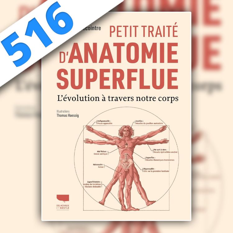 cover art for 516 - Petit traité d'Anatomie Superflue, avec Guillaume Lecointre