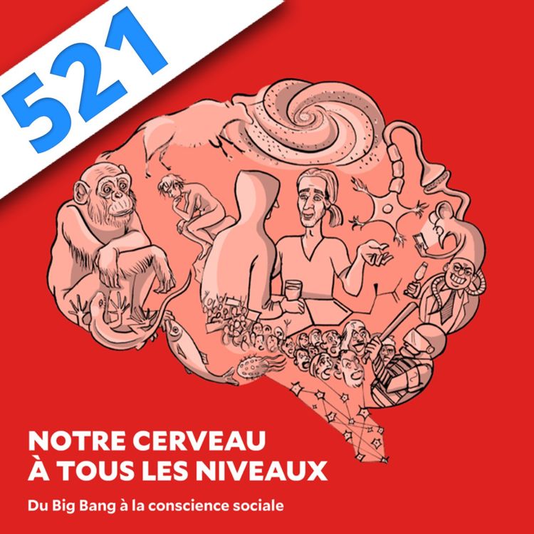 cover art for 521 - Notre cerveau à tous les niveaux, avec Bruno Dubuc