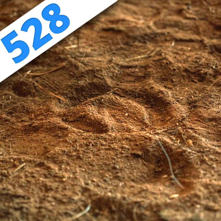 cover art for 528 - Le Podcast qui se Terre