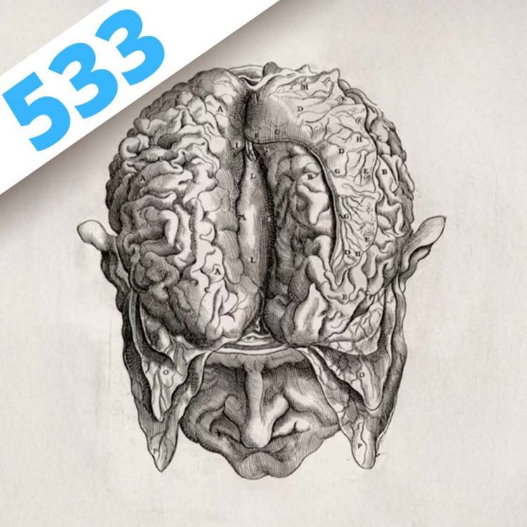 cover art for 533 - Histoires de cerveaux